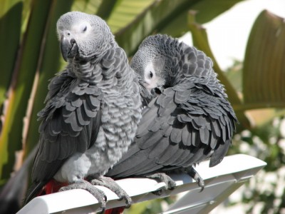 202.JPG