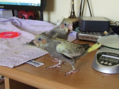 DSCF8031.jpg