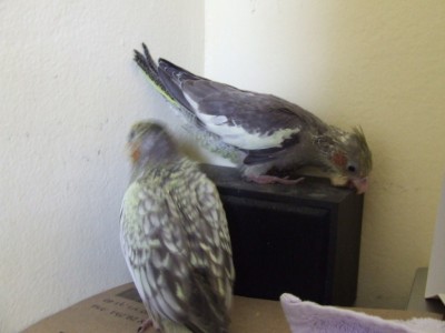 DSCF8045.jpg