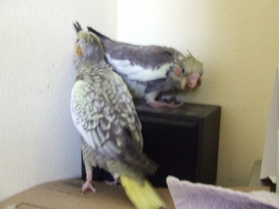 DSCF8047.jpg