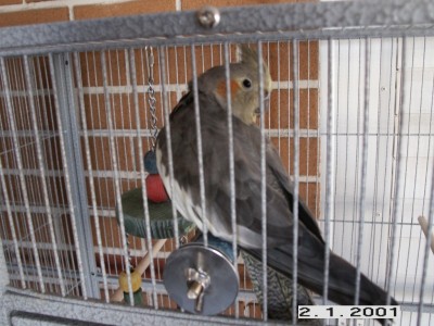 PICT0003.jpg