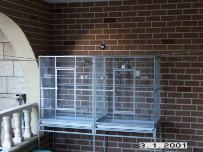 PICT0005.jpg
