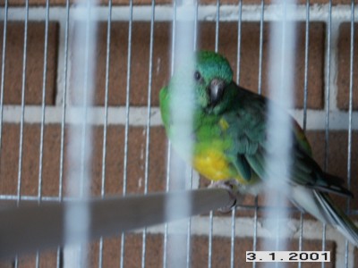 PICT0006.jpg