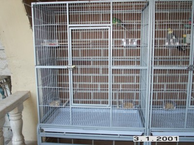 PICT0007.jpg