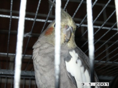 PICT0008.jpg