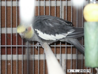 PICT0009.jpg