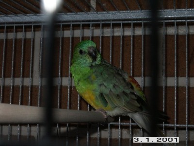 PICT0010.jpg