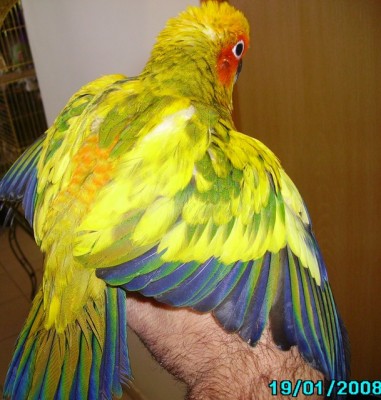 76477432ss1.jpg