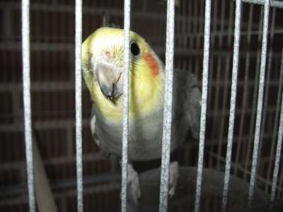 IMG_1010.jpg
