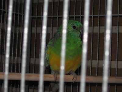 IMG_1012.jpg
