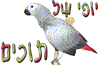יופי-של-תוכים.gif