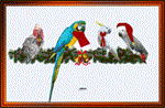 pictures1.gif