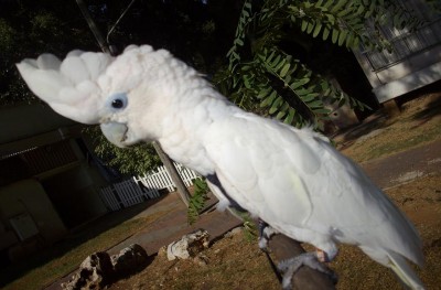 עם הריתמה החדשה בחוץ..