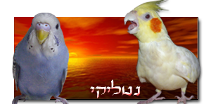 חתימה תוכים שלי.png