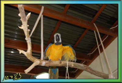 DSC_6795.JPG