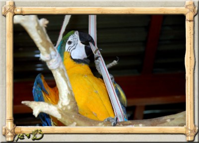 DSC_6798.JPG