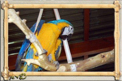 DSC_6799.JPG