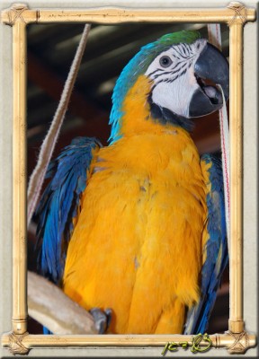 DSC_6802.JPG