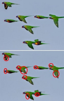 file1.jpg