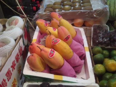 ירק 2.JPG