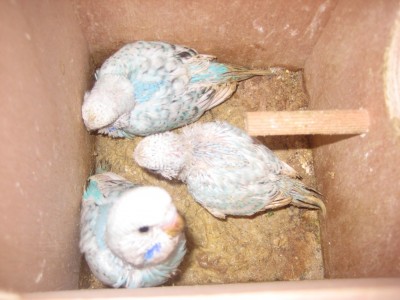 ואיי כמה מסקרן מה קורה בחוץ...