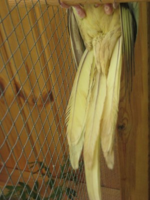Picture 1114.jpg