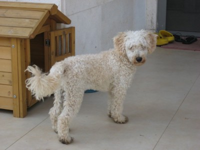 חתיךךך שלי:)