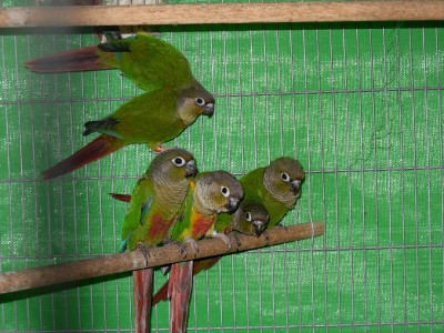 התמונות שלי 003.jpg