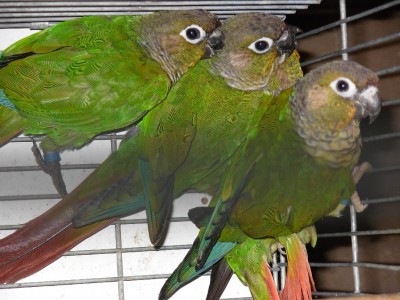 התמונות שלי 008.jpg