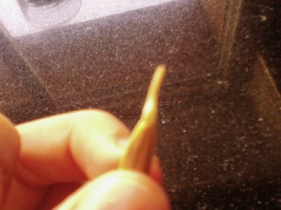 גרעין שחור נביטה גדולה