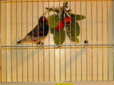 DSCF0120.JPG