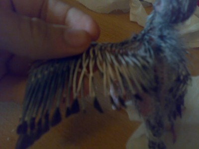 02012006536.JPG