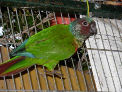 התמונות שלי 005.jpg