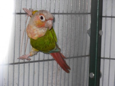 התמונות שלי 011.jpg