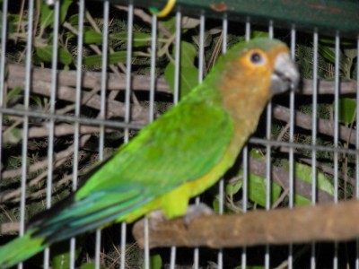 התמונות שלי 018.jpg