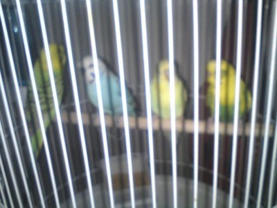 DSC01241.JPG