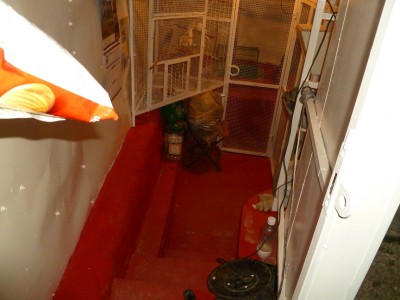 P1000747.JPG