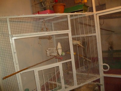 P1000750.JPG