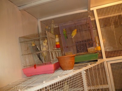 P1000751.JPG