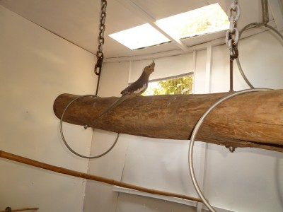 P1000763.JPG