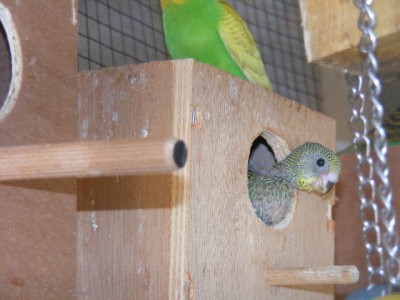 DSCF7516.jpg