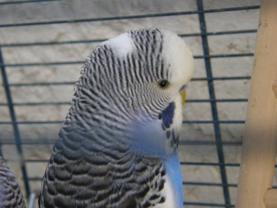 תוכון חדש (: