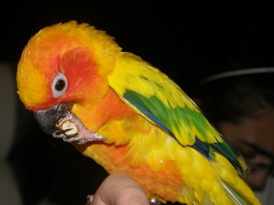 ושוב מנשנשת..