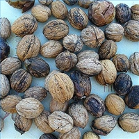 Walnut hulls.jpg