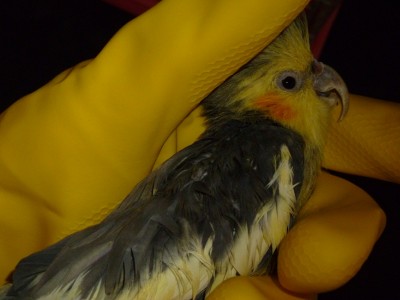 P1000777.JPG