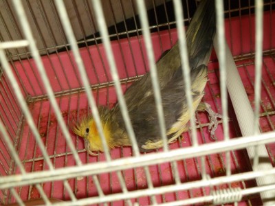 P1000780.JPG