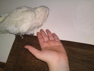 101020101990.JPG