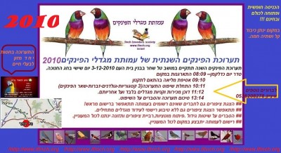 20091127_2138557332_jpg.jpg