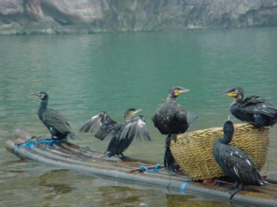 תמונות של שי