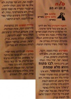 טלה.jpg